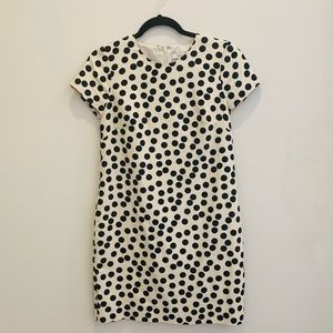 J Crew Dress